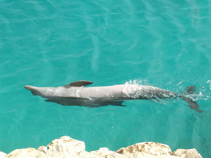 Curacao 2007 041.JPG